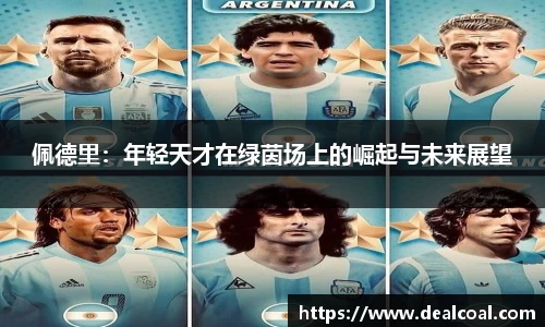 佩德里：年轻天才在绿茵场上的崛起与未来展望
